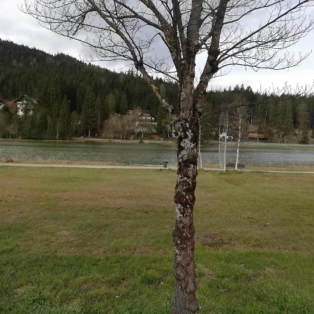Am Waldweg Appartement *